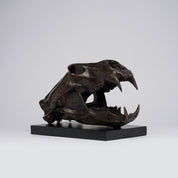 Bronze Polar Bear Skull