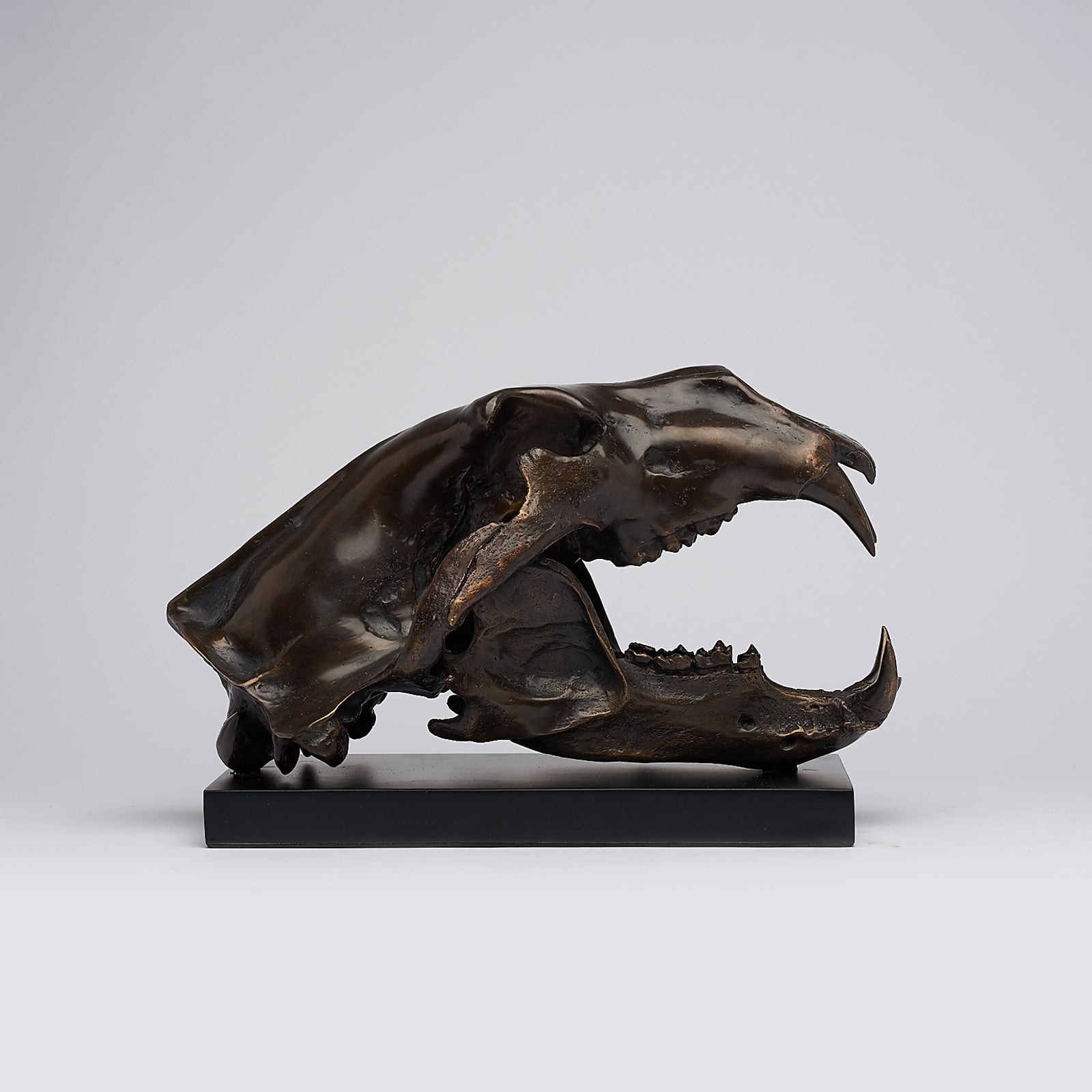 Bronze Polar Bear Skull