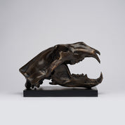 Bronze Polar Bear Skull