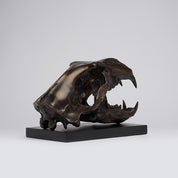 Bronze Polar Bear Skull