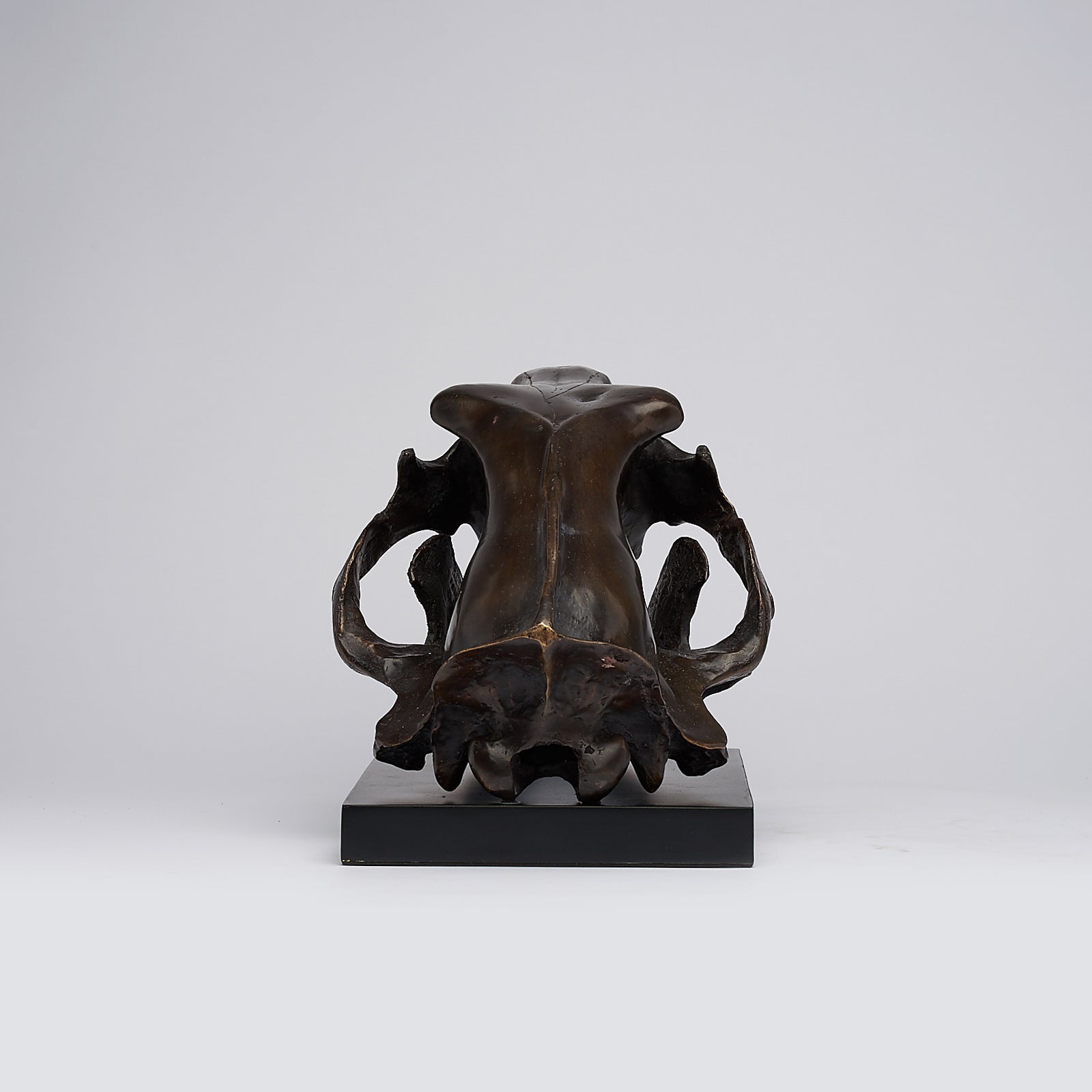 Bronze Polar Bear Skull