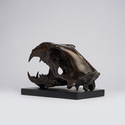 Bronze Polar Bear Skull
