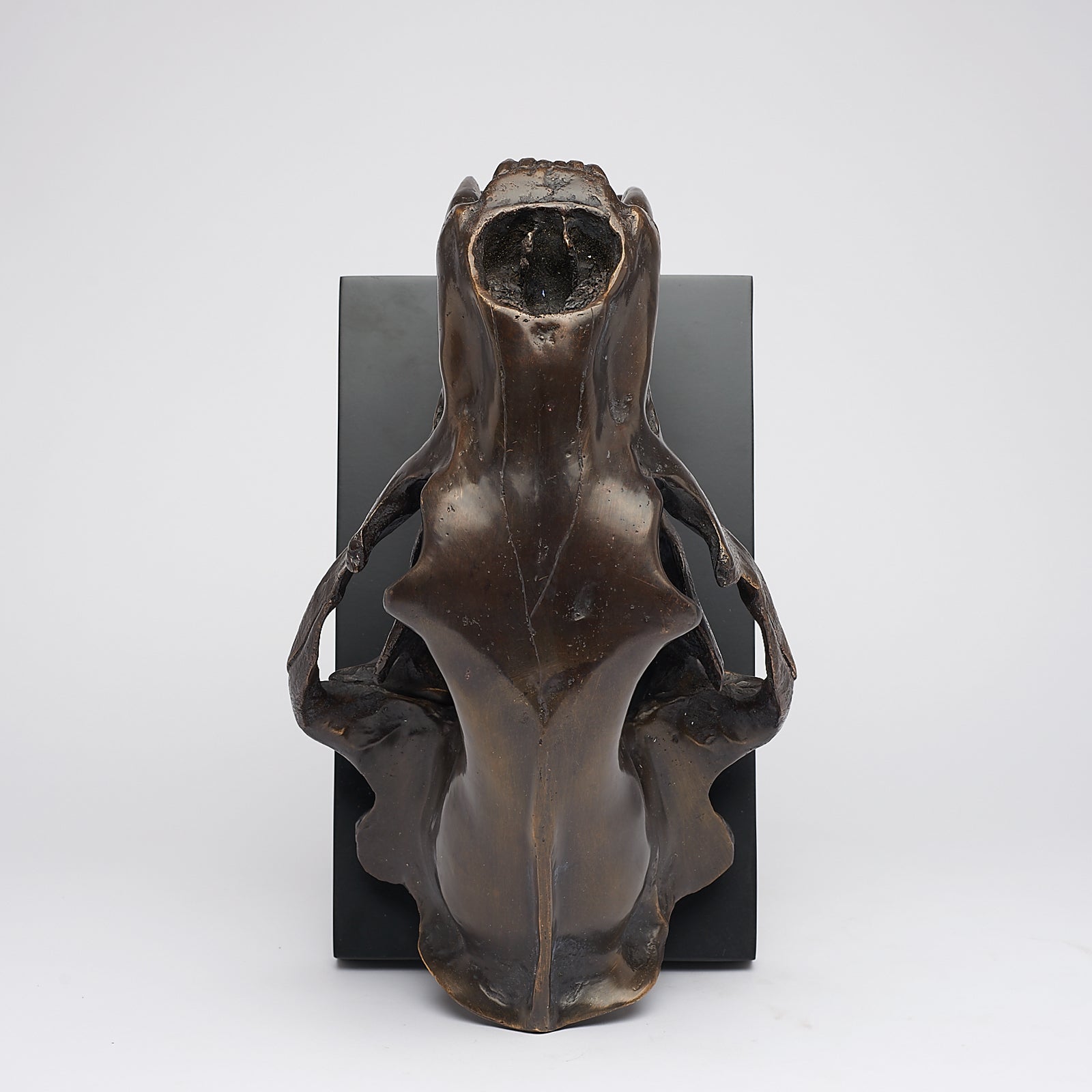 Bronze Polar Bear Skull