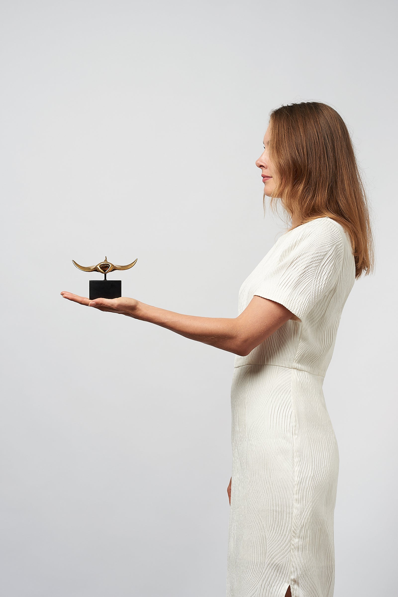 Manta Ray in Polished Bronze, Small