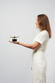 Manta Ray in Polished Bronze, Small