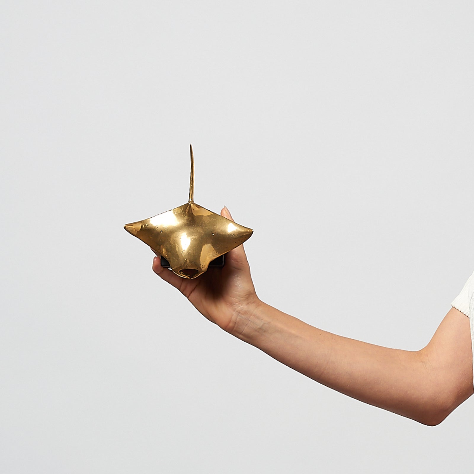 Manta Ray in Polished Bronze, Small