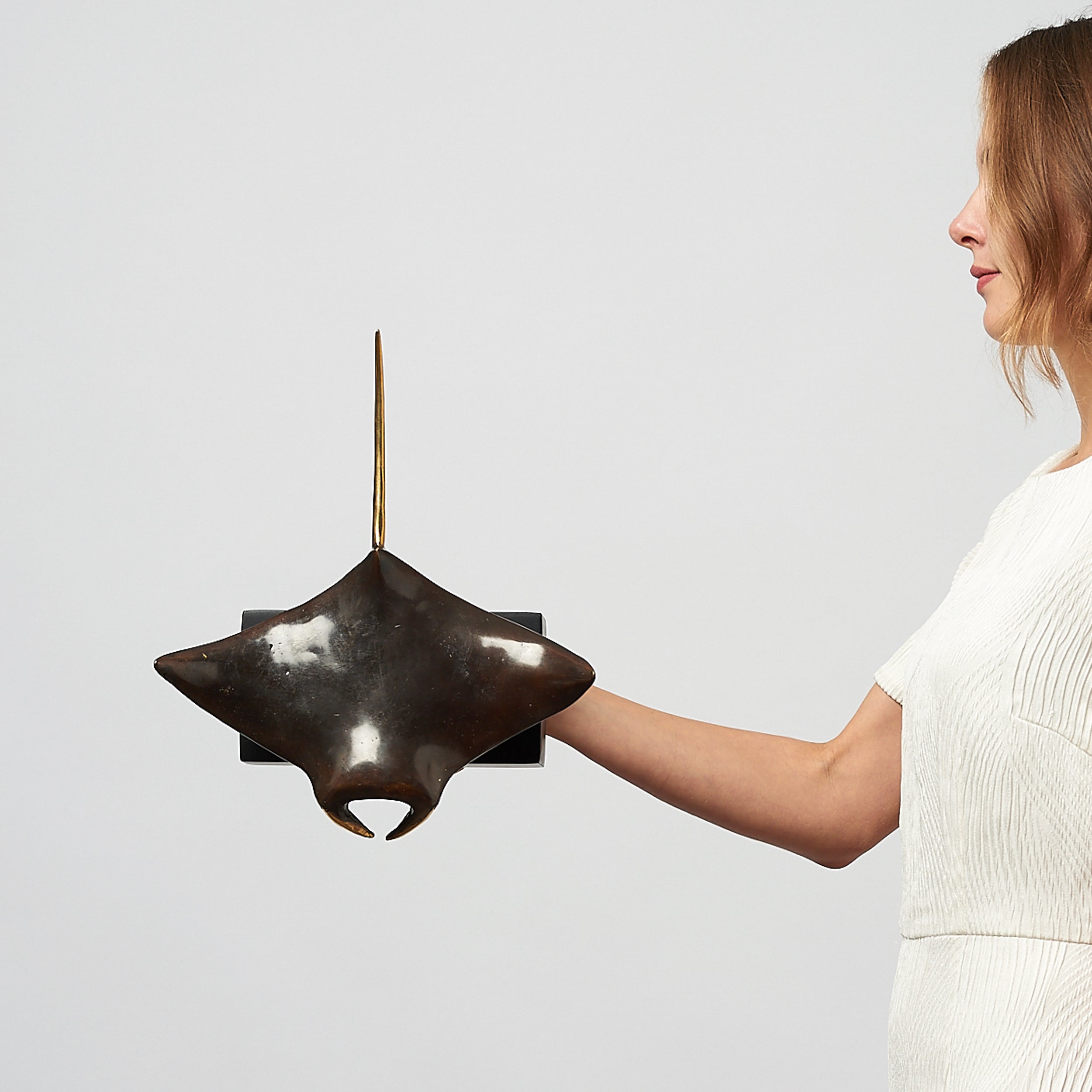 Manta Ray in Bronze, Medium