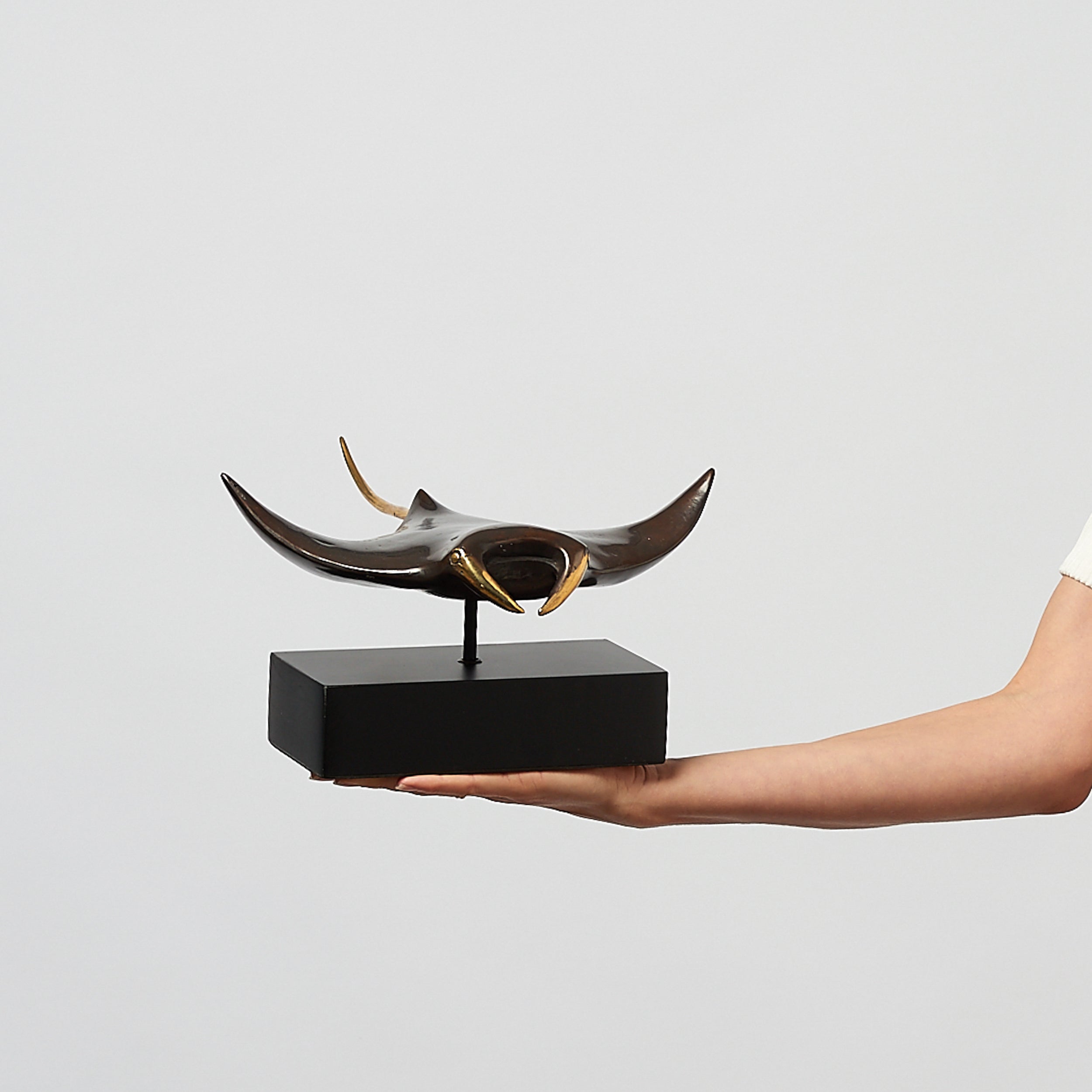 Manta Ray in Bronze, Medium
