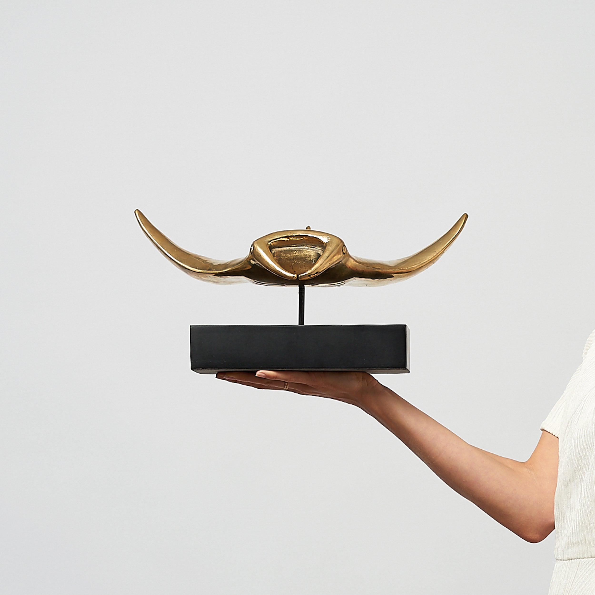 Manta Ray in Polished Bronze, Large