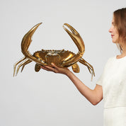 Crab in Polished Bronze, Large