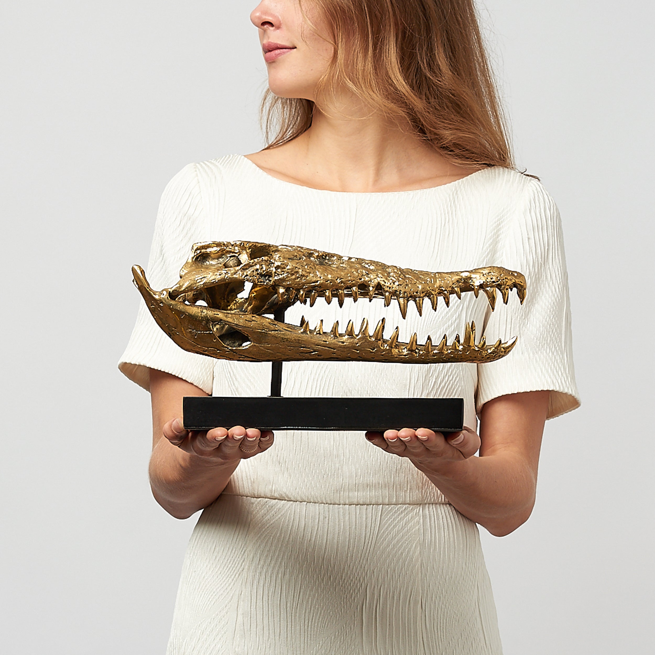 Medium Saltwater Crocodile Skull in Polished Bronze