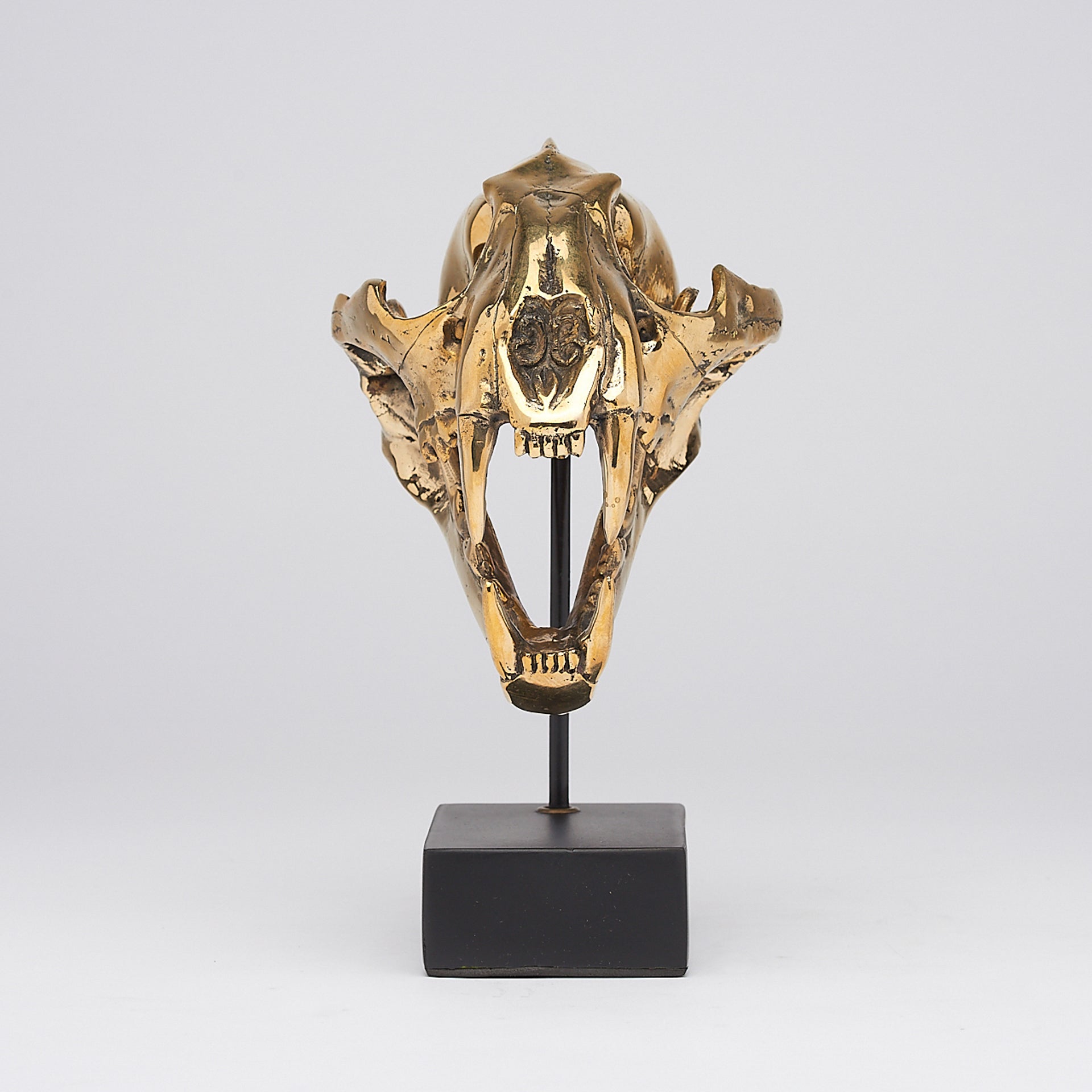 Polished Bronze Snow Leopard