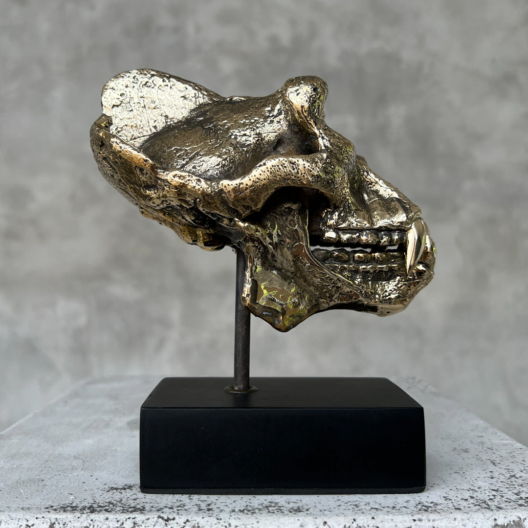 Small Polished Bronze Gorilla Skull