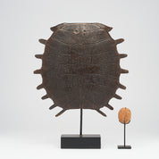 Medium Bronze Turtle Shell