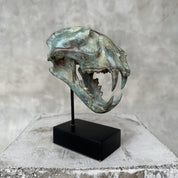 Patinated Snow Leopard