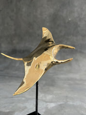 Floating Manta Ray in Polished Bronze