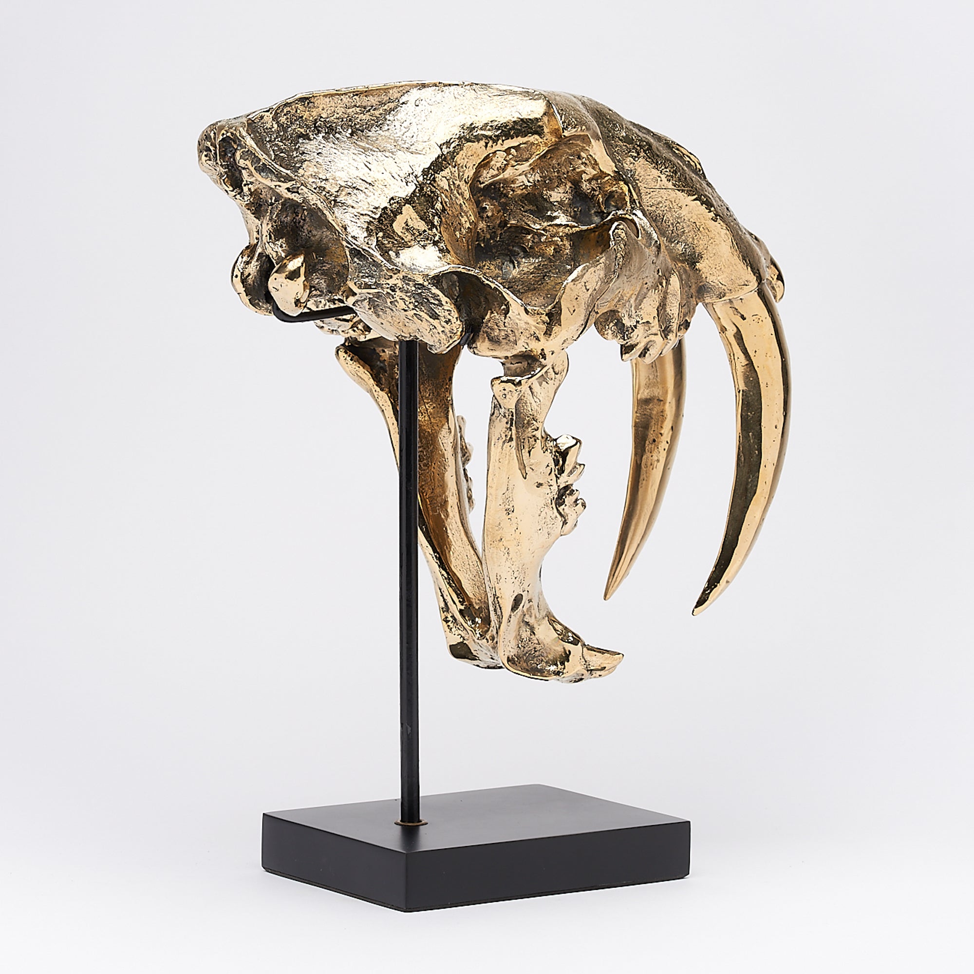 Polished Bronze Rustic Sabertooth Tiger