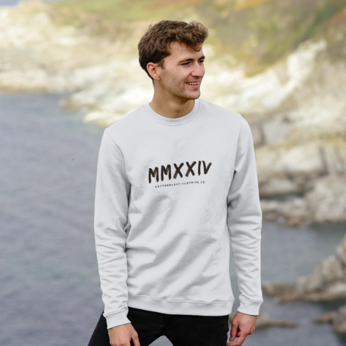 Mens White Sweatshirt
