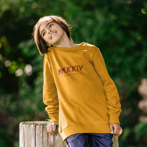 Boys Yellow Sweatshirt