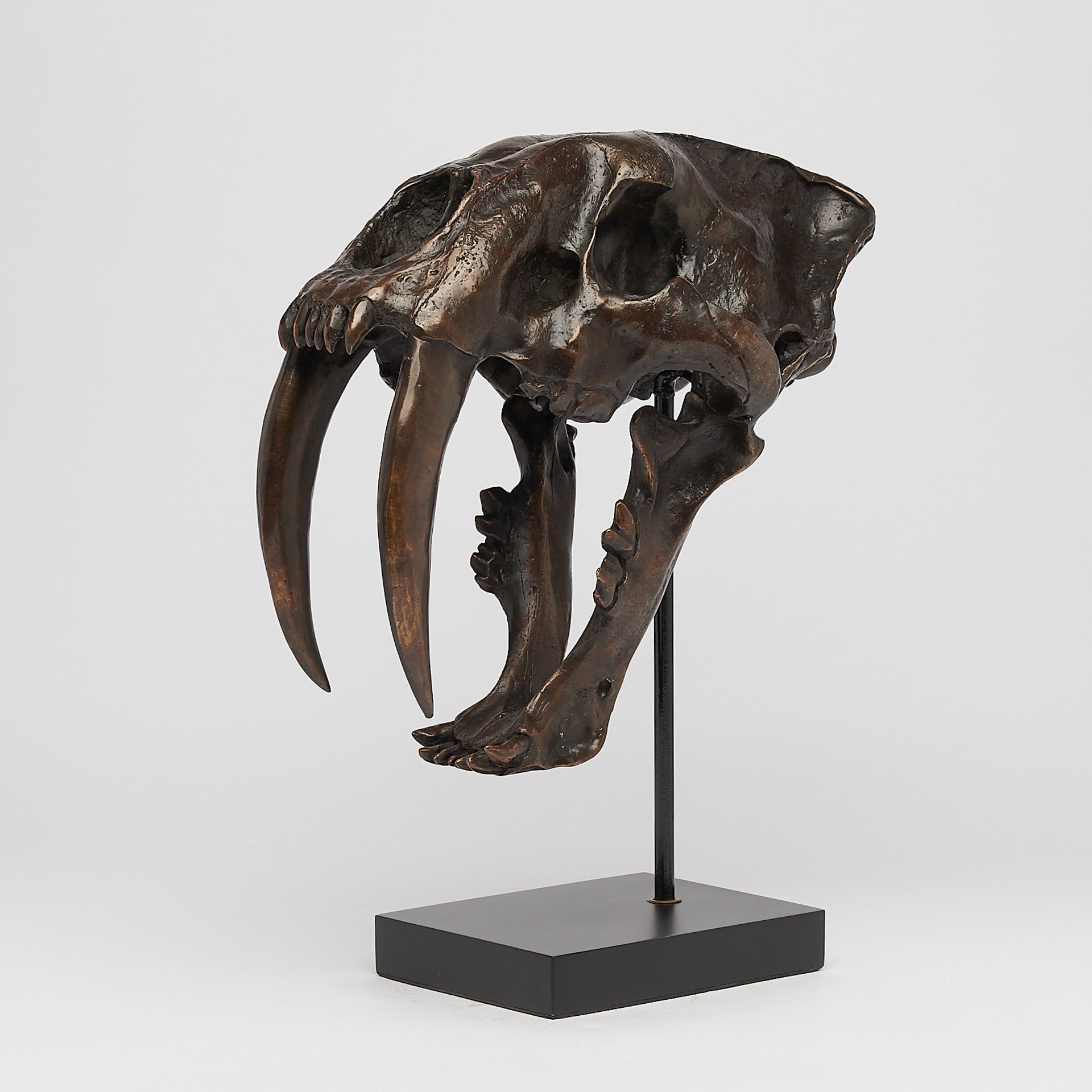 Bronze Rustic Sabertooth Tiger