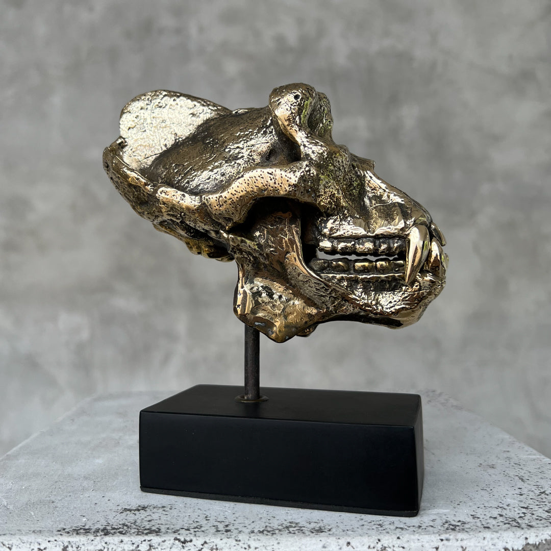 Small Polished Bronze Gorilla Skull