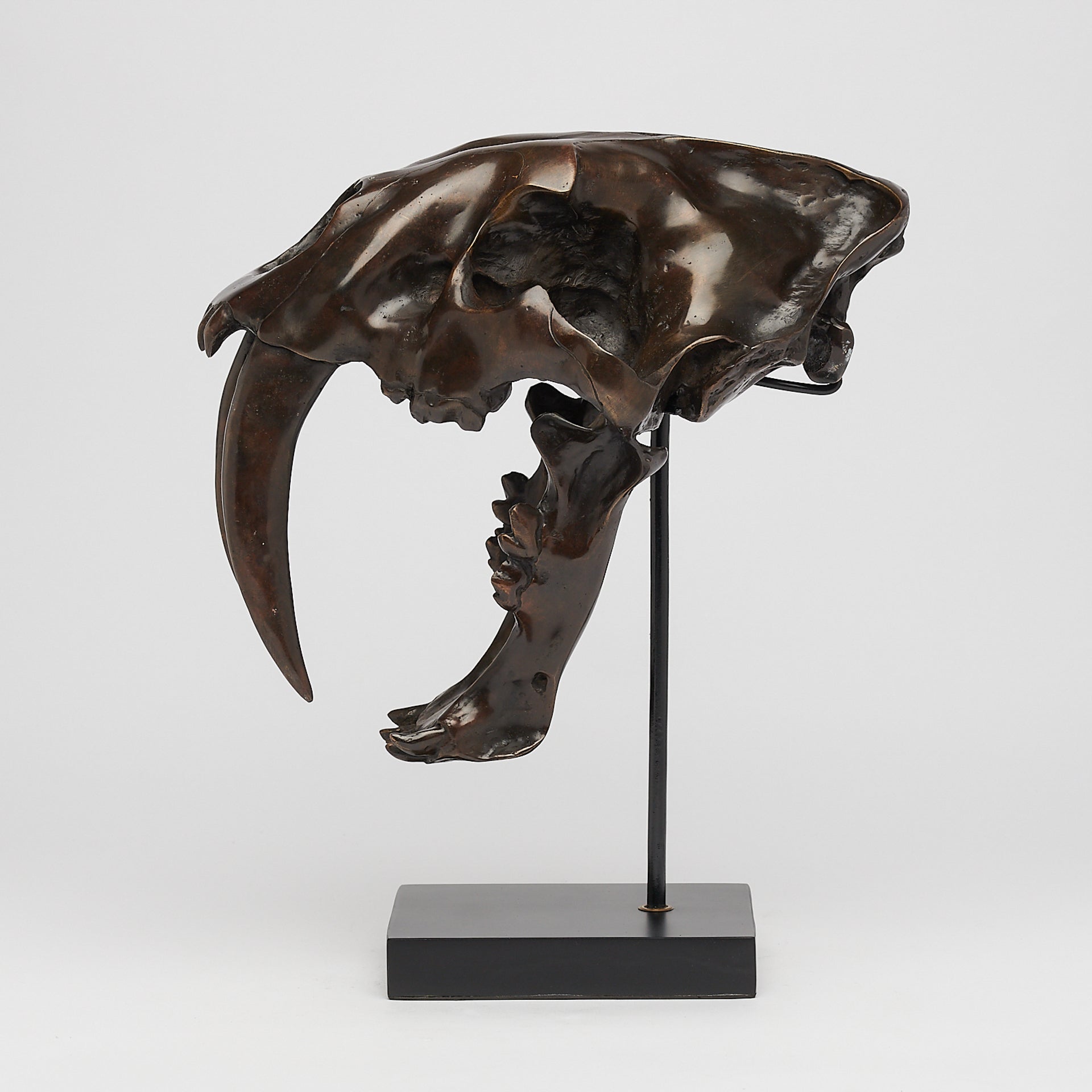 Bronze Rustic Sabertooth Tiger