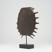 Medium Bronze Turtle Shell
