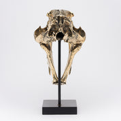 Polished Bronze Rustic Sabertooth Tiger