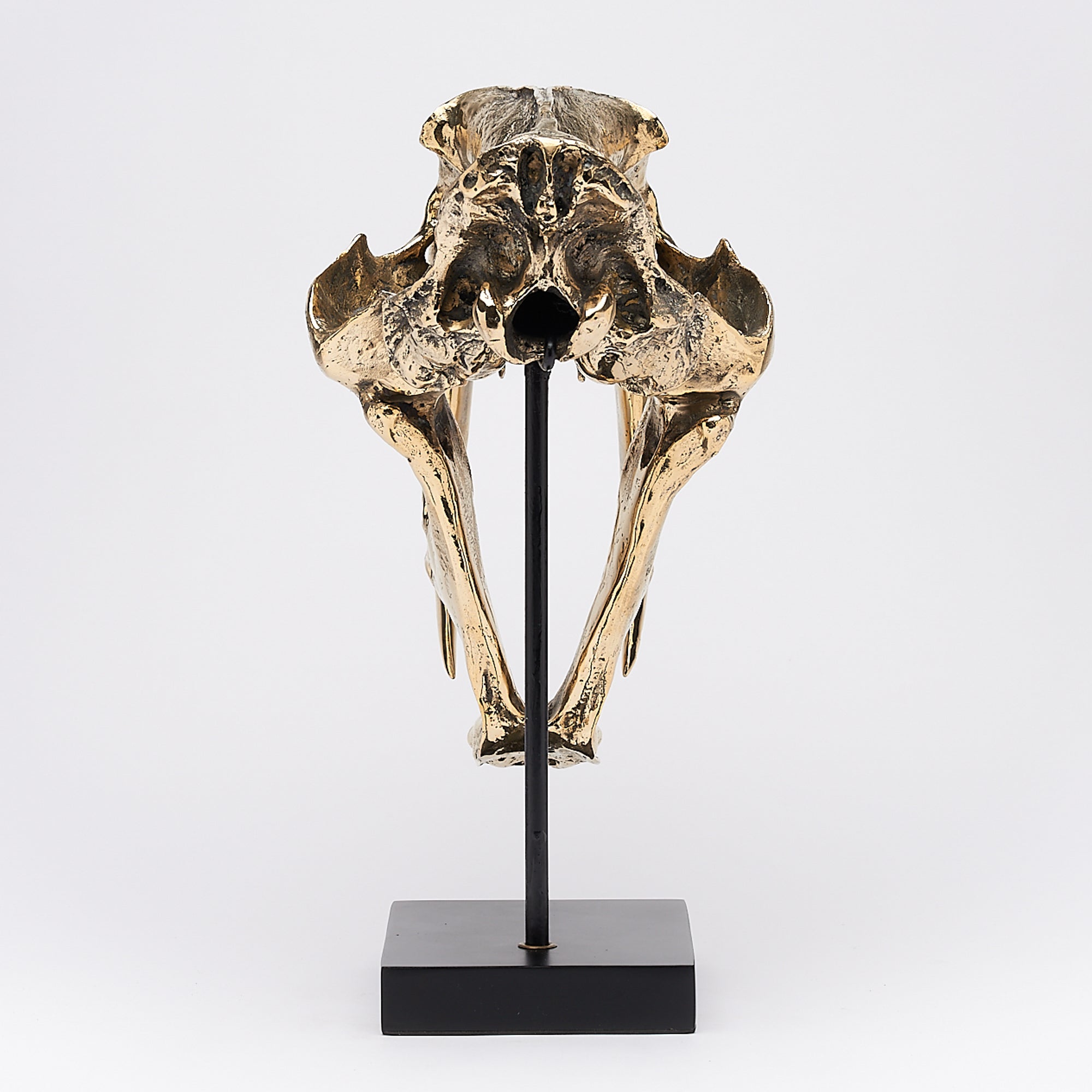 Polished Bronze Rustic Sabertooth Tiger