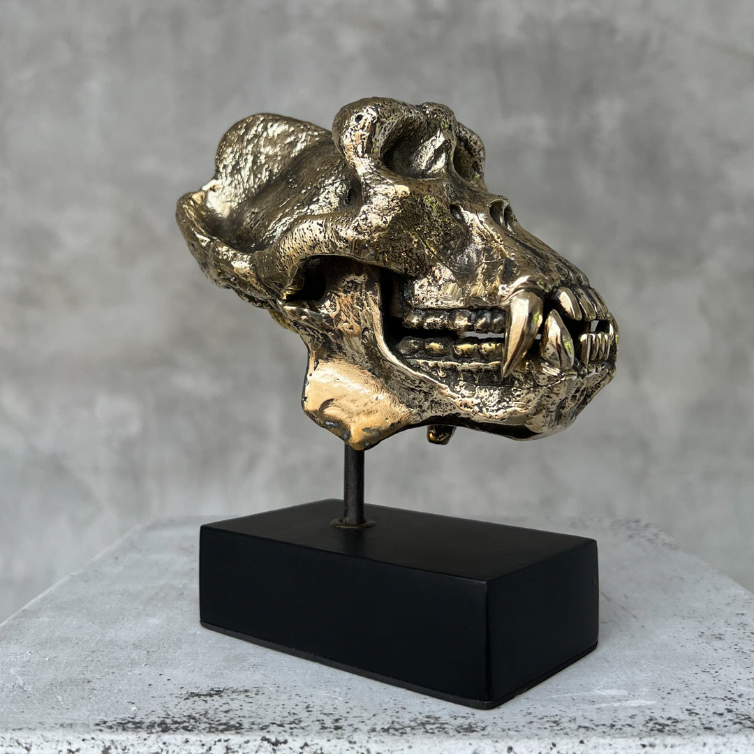 Small Polished Bronze Gorilla Skull