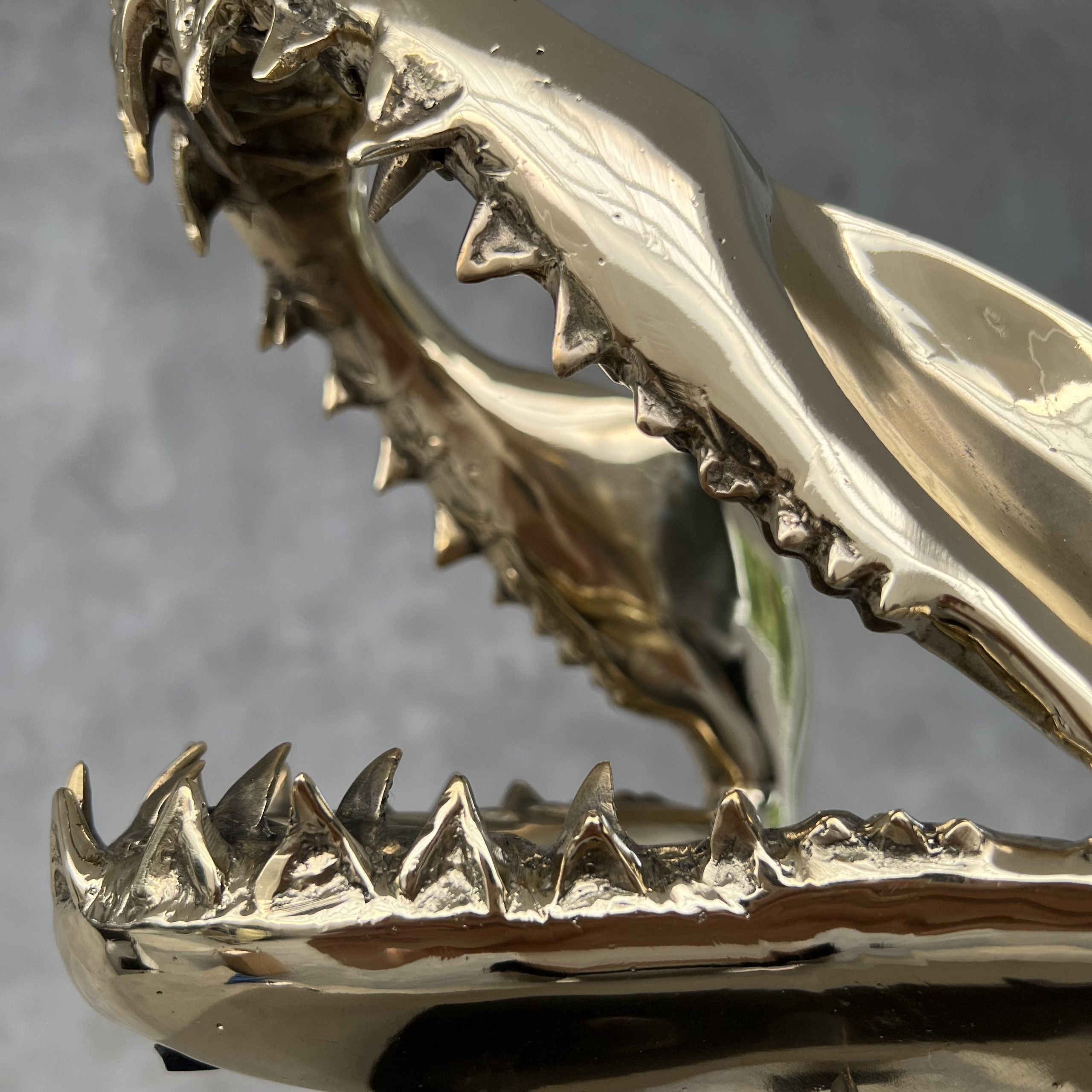 Polished Bronze Mako Shark Jaw