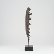 Medium Bronze Turtle Shell