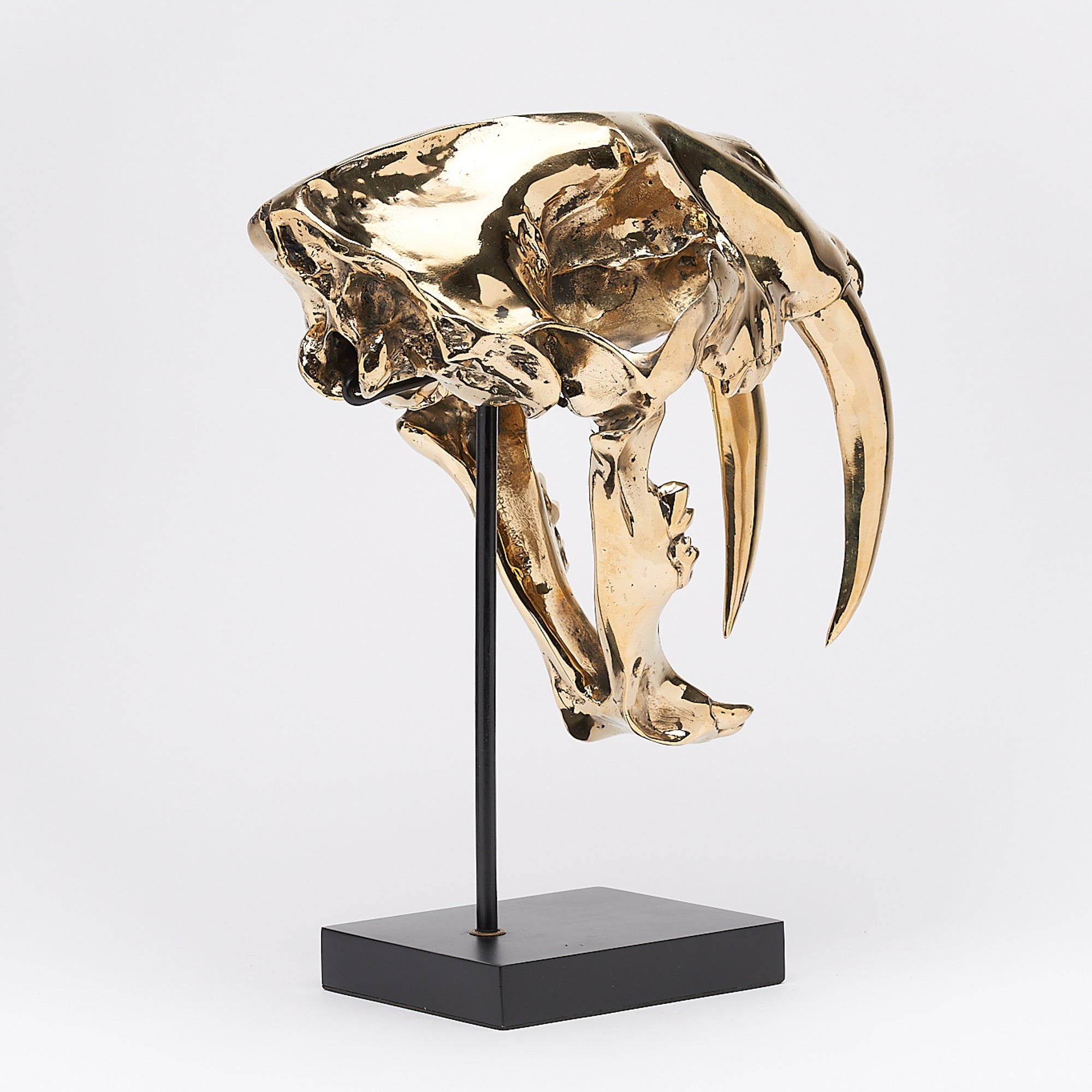 Polished Bronze Sabertooth Tiger