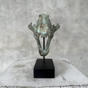 Patinated Snow Leopard