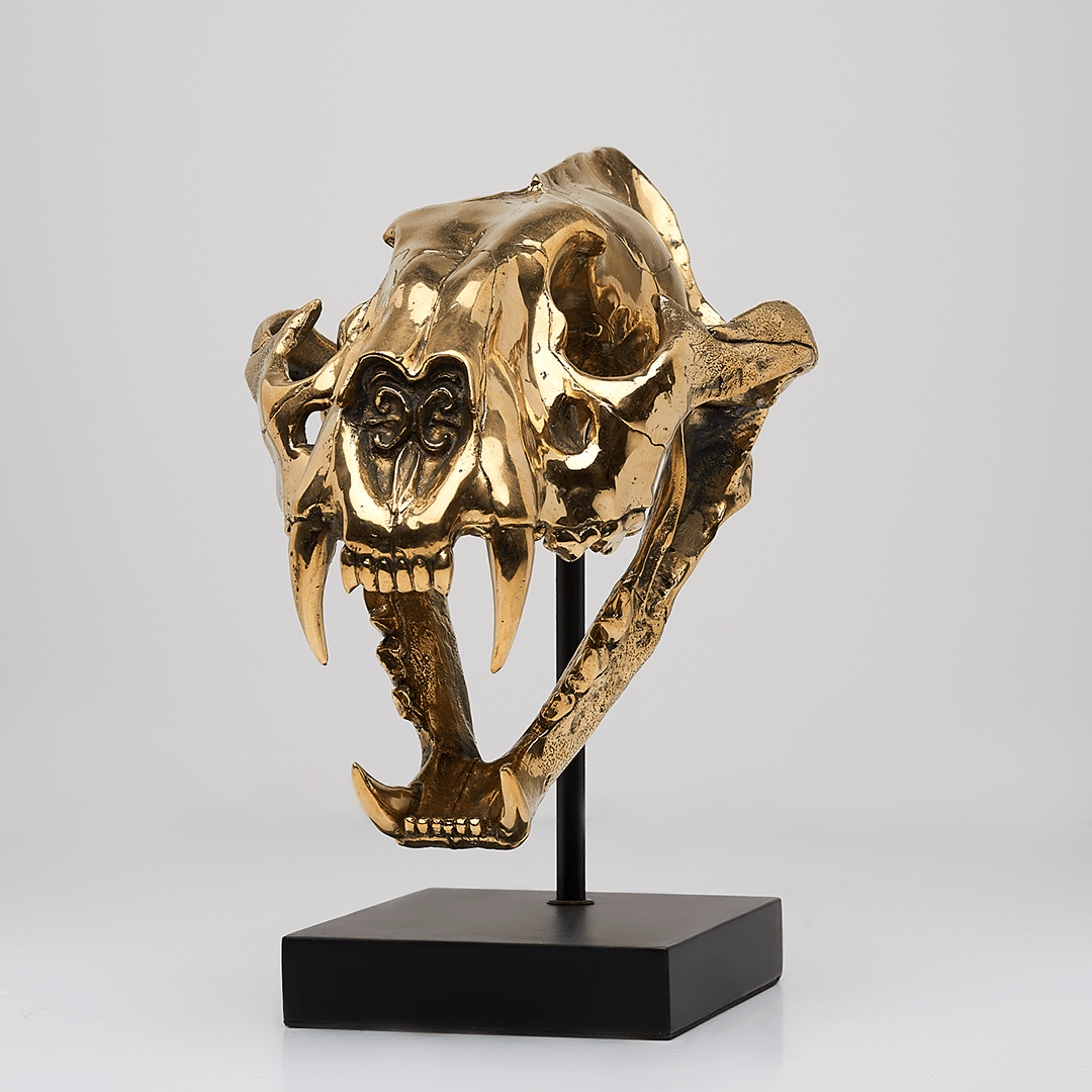 Sumatran Tiger Skull in Polished Bronze