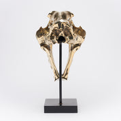 Polished Bronze Sabertooth Tiger