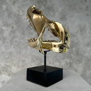 Polished Bronze Mako Shark Jaw