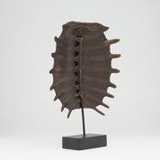 Medium Bronze Turtle Shell