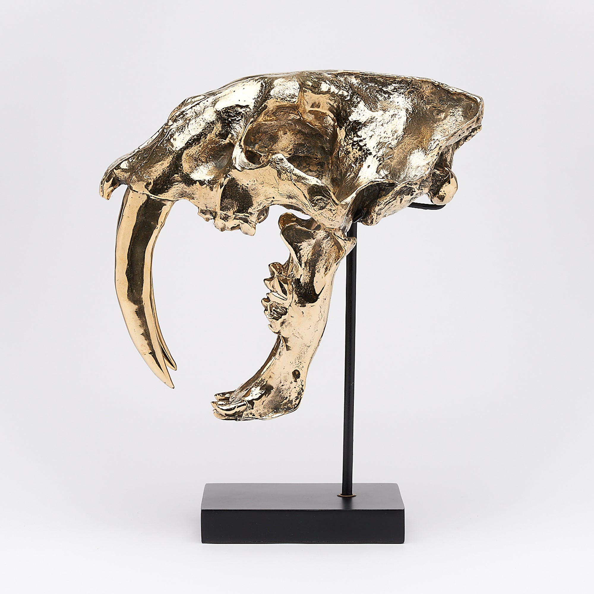 Polished Bronze Rustic Sabertooth Tiger