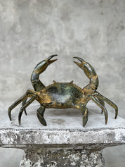 Small Patinated Crab
