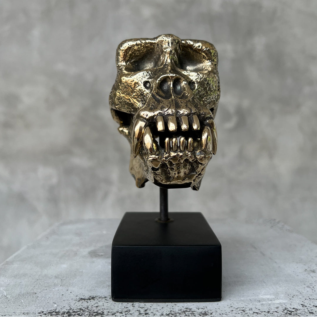 Small Polished Bronze Gorilla Skull