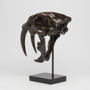 Bronze Sabertooth Tiger