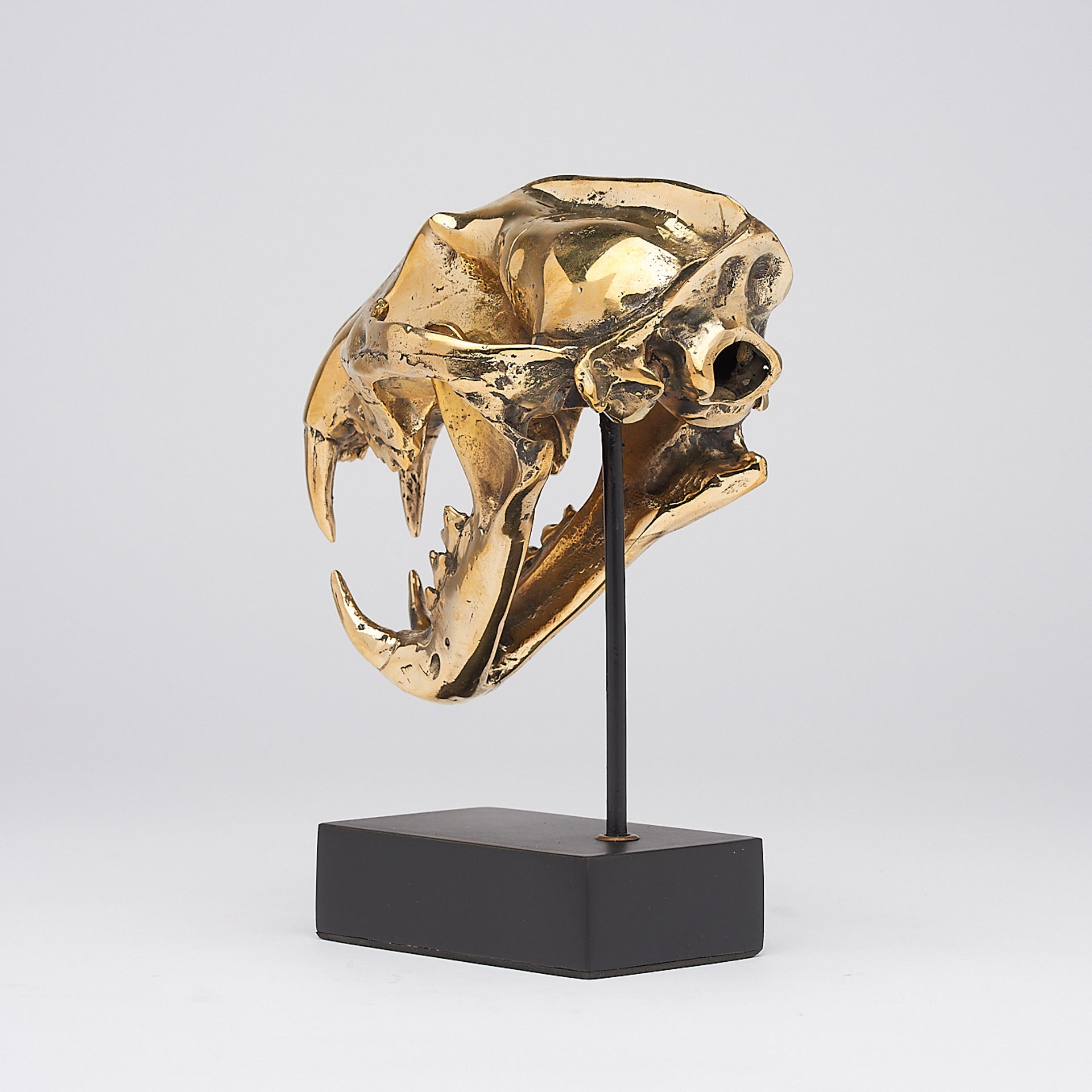 Polished Bronze Snow Leopard