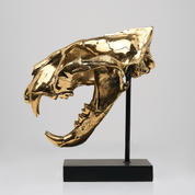 Sumatran Tiger Skull in Polished Bronze
