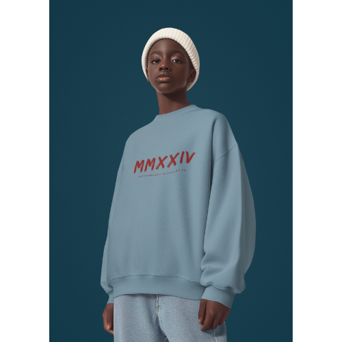 Boys Blue Sweatshirt