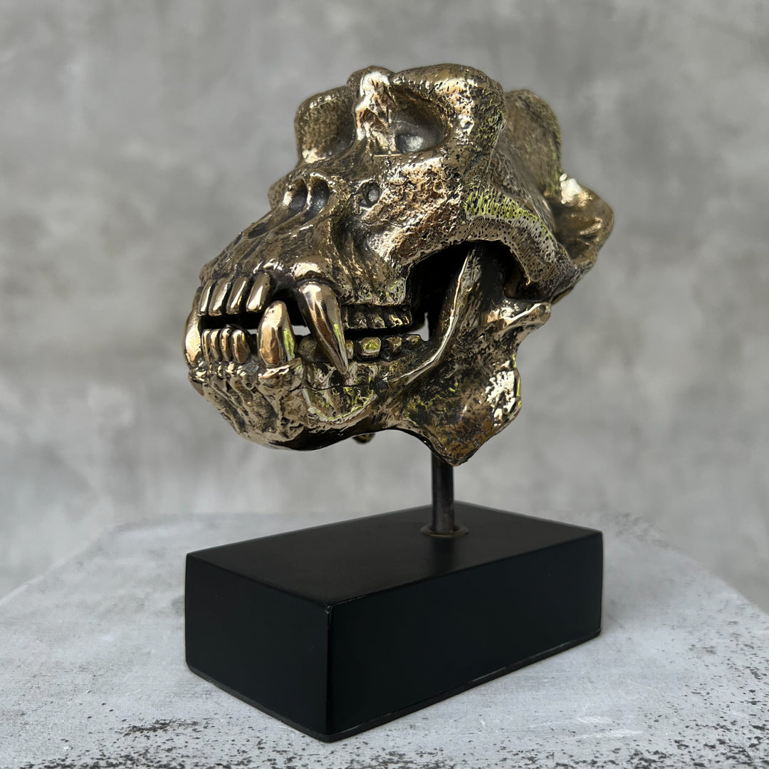 Small Polished Bronze Gorilla Skull