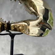 Polished Bronze Mako Shark Jaw