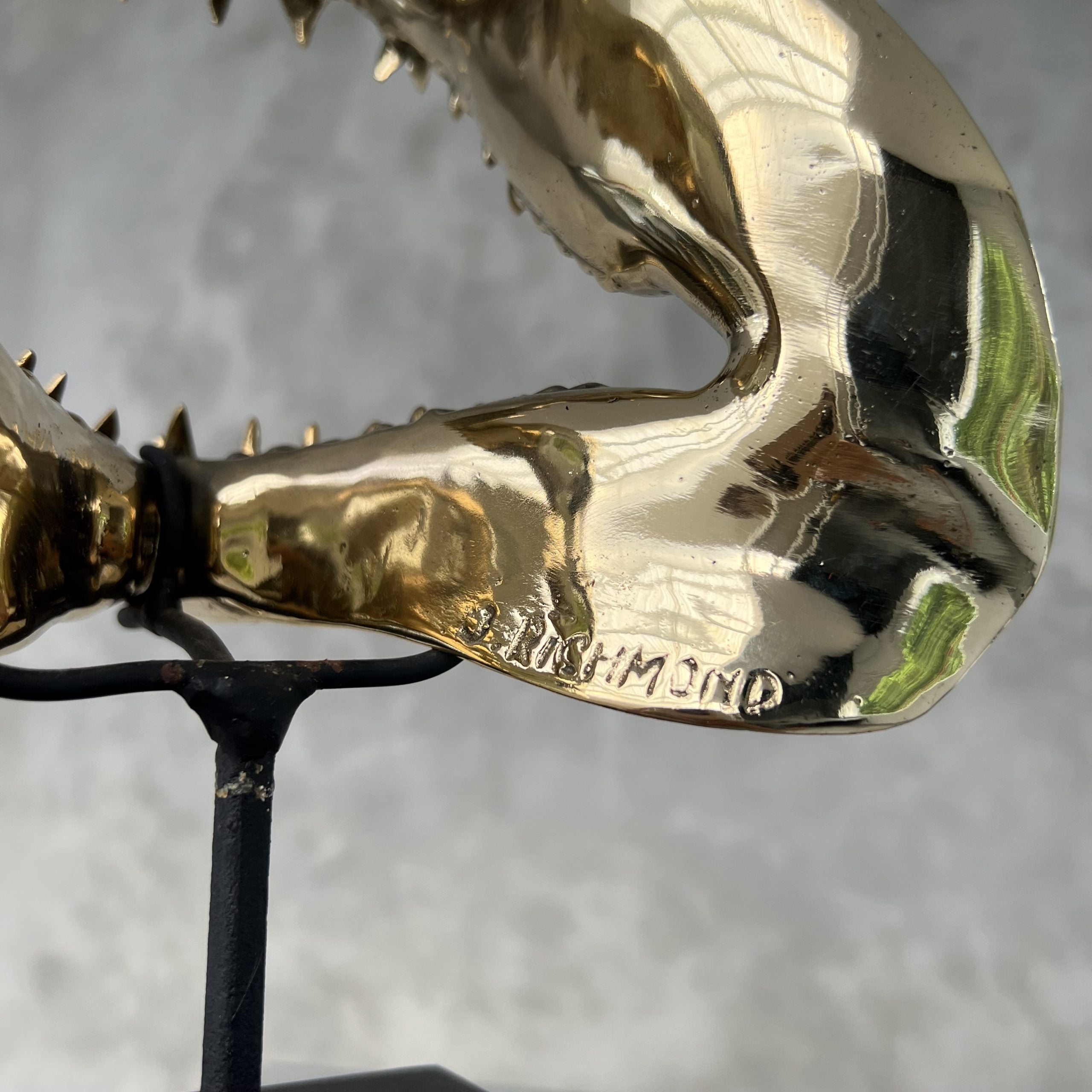 Polished Bronze Mako Shark Jaw