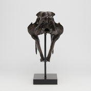 Bronze Rustic Sabertooth Tiger