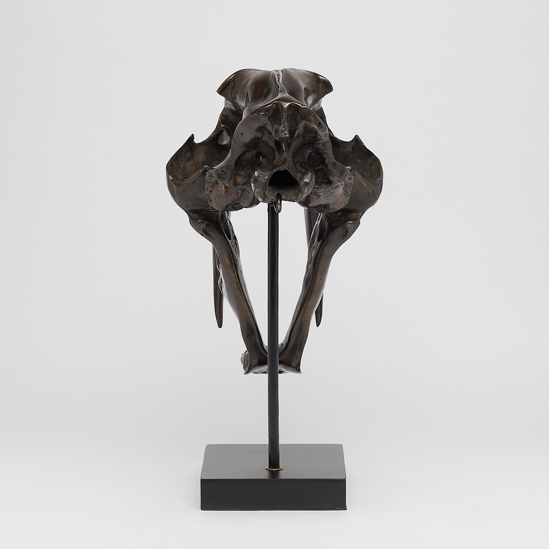 Bronze Rustic Sabertooth Tiger